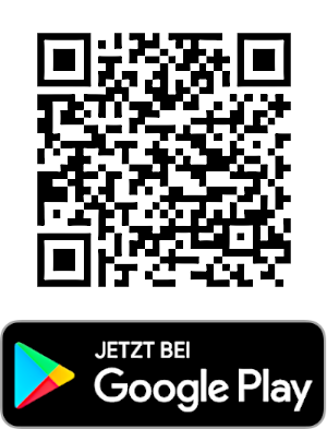 NINA Google Nora Google